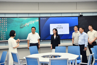 国家发展改革委国际合作中心重大...